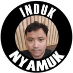induk_nyamuk_ profile picture
