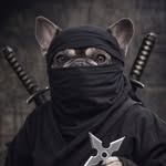 infamouscardss profile picture