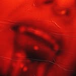 infierno_eterno_film profile picture