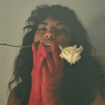 ingyshootsfilm profile picture
