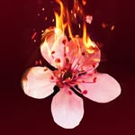 inheritanceplay profile picture