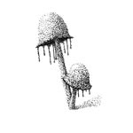 inky.cap.illustrations profile picture