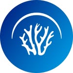 innoceana profile picture