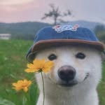 inolongervibewem profile picture