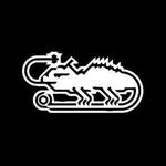 inp____sight profile picture
