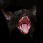 ins1dethemindofmine profile picture