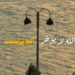insaf_atchi94 profile picture