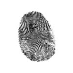 insearchof.agency profile picture