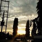 insta.ankitdhar1432 profile picture