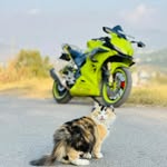 insta_king_10324 profile picture