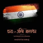 instantbollybytes profile picture