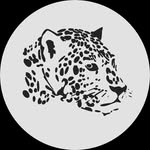 instituto_onca_pintada profile picture