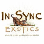 insyncexotics profile picture