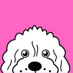 internationaldoodledogday profile picture
