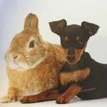 interspeciesfriendship profile picture