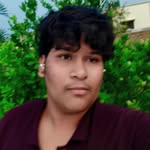 inthesearchofonepiece profile picture