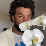 intoblackmercury profile picture
