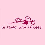 intwosandthrees profile picture