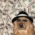 investnyata profile picture