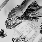 invisible_bruit_des_fleurs profile picture