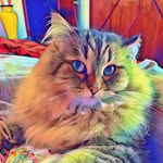 irina.laminina profile picture