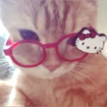 iryii_i profile picture