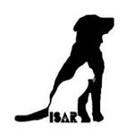 isaronline profile picture