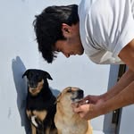 ishaan5668 profile picture