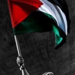 islam.4064 profile picture