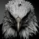 islam_mca_8 profile picture