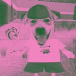 islaniesa profile picture