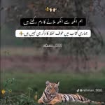 ismail_tahir786 profile picture