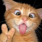 its.deari profile picture