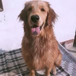 itsaffig profile picture