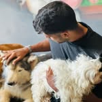 itsagash profile picture
