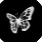 its_aime_2011 profile picture