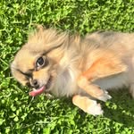 itsandythesquirrel profile picture