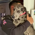 itsariariiariii profile picture