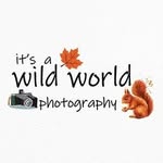 itsawildworld_photography profile picture
