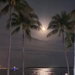 its_beauty_space profile picture