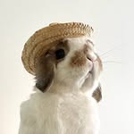 itsbunnycoco profile picture