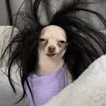 itsgibbyj profile picture