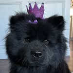 itsjustcher profile picture