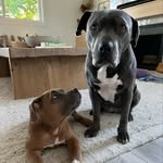 itskenzoandco profile picture