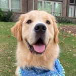 itslittlelewis profile picture