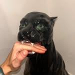 itsmarklorincz profile picture