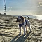 itsmiss_ab profile picture
