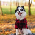 itsmisterbarclay profile picture