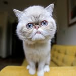 itsmistermarbles profile picture