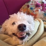 itsparkerposey profile picture
